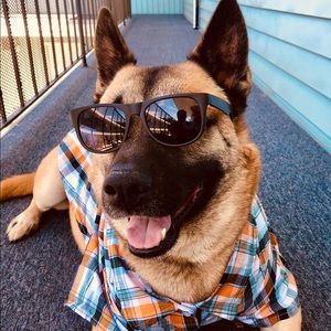 Meet your Posher, Caroline